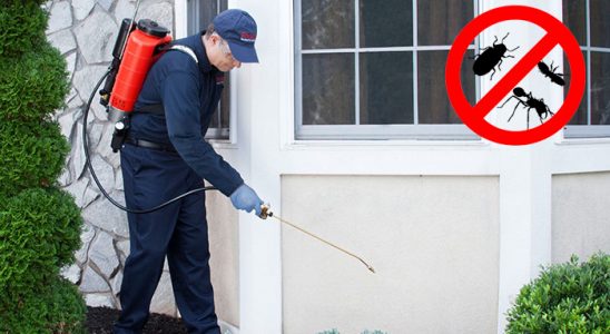 Payas Dezenfeksiyon böcek ilaçlama ve haşere kontrolü — ilaclama-tr.com